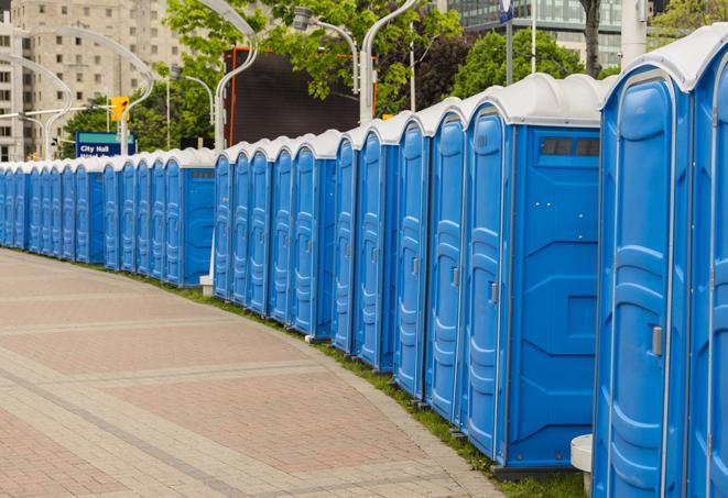 Seasonal porta potty units set up at a Covington, Georgia venue